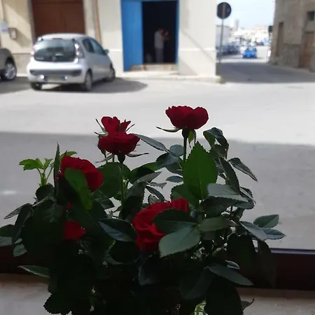 Ligny * Trapani